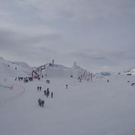514982.jpg