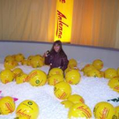 531954.jpg