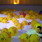 532841.jpg