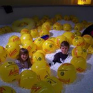 532844.jpg