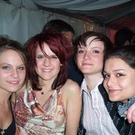 533727.jpg