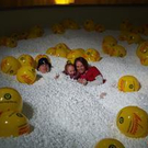 533896.jpg