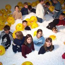 533908.jpg