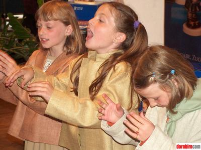 564488.jpg