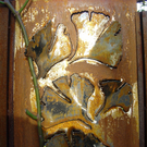 DSC04464.jpg