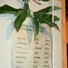 596485.jpg