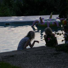 615216.jpg