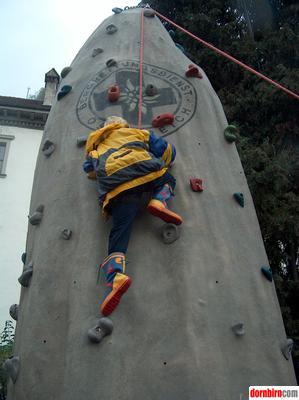 651156.jpg