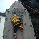 651156.jpg