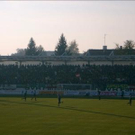 664417.jpg