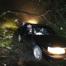 dc1-5r7htip3561172nitcig_original.jpg