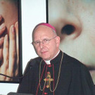 687541.jpg