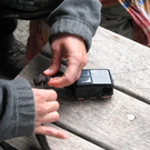 Bayern "vermisst" Steinadler