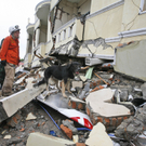 Suche nach den Opfern