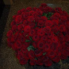 709010.jpg