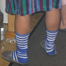 730108.jpg