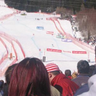 736336.jpg