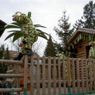 741883.jpg