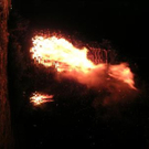 750168.jpg