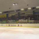 768346.jpg