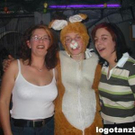 778361.jpg
