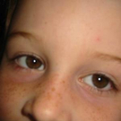 780365.jpg
