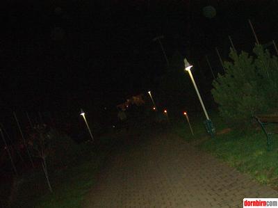 784084.jpg