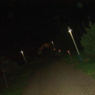 784084.jpg