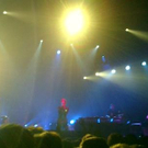 786471.jpg