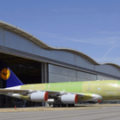 dc1-5qz7bbaqasxr5fd43g3_original.jpg