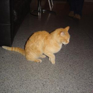 805835.jpg