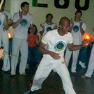 815508.jpg