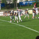 826302.jpg
