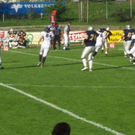 826305.jpg