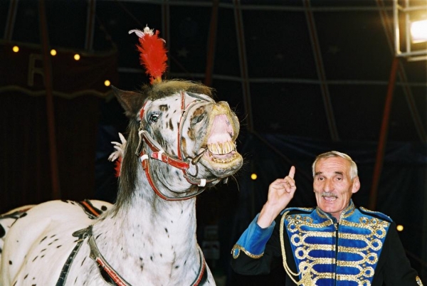 zir01.JPG