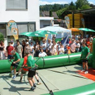 833512.jpg