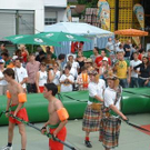 833527.jpg