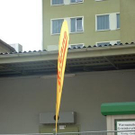 833533.jpg