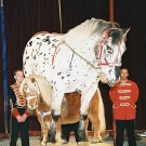 zir05.JPG