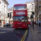 834970.jpg