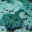 835004.jpg