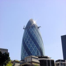 835024.jpg