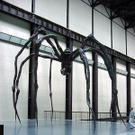 835025.jpg