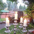 841584.jpg