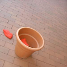 845657.jpg
