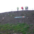 847145.jpg