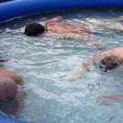856504.jpg