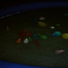 856472.jpg