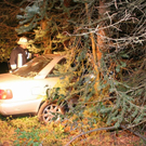 Pkw landet in Wald