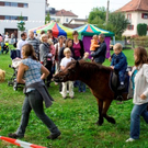 Ponyreiten.JPG